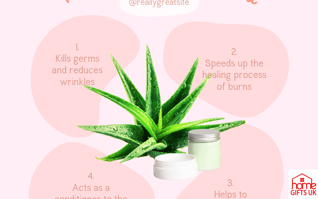 aloe vera