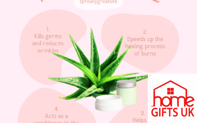 Do you know why Aloe Vera is so good for you?